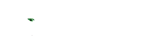 Pantheon Holding Group,Inc.